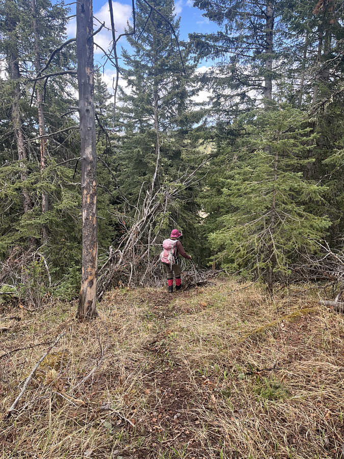 Not sure if I'd wanna climb up this way, but it works very well on descent.