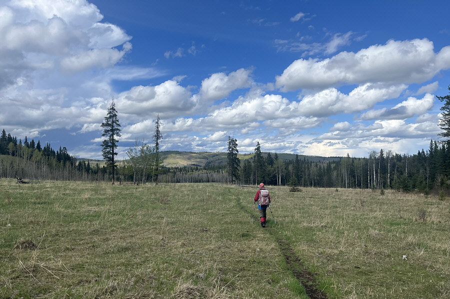 And dodging cow poop like crazy!