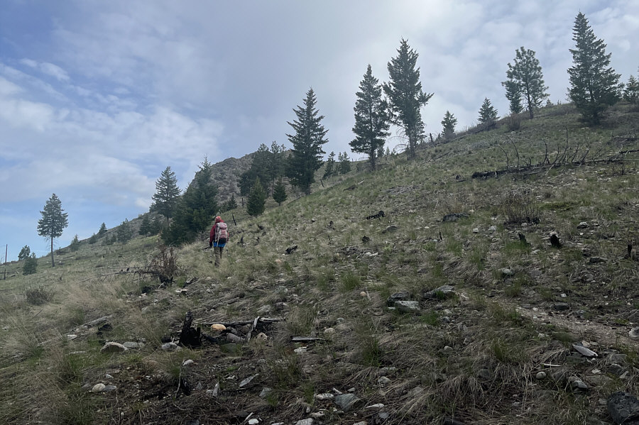 Love getting out of the trees already without breaking a sweat!