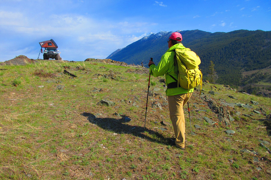 Why didn't we drive up here?