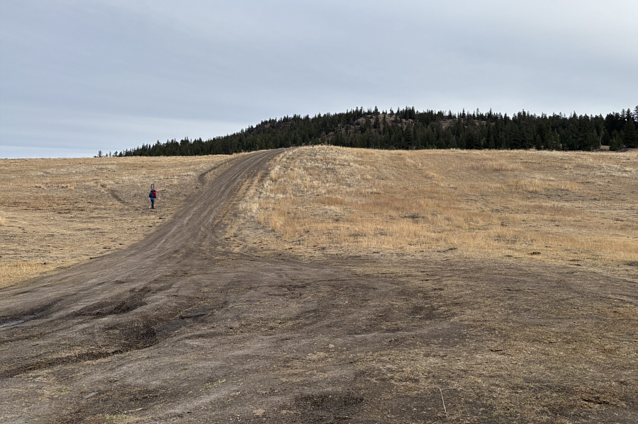 It was tempting to keep driving up the road...