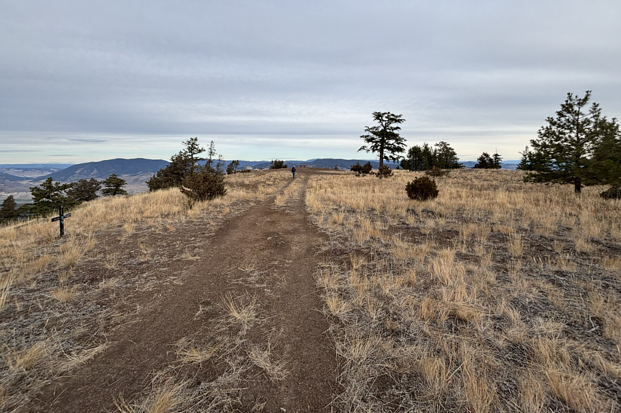 You could play soccer here!