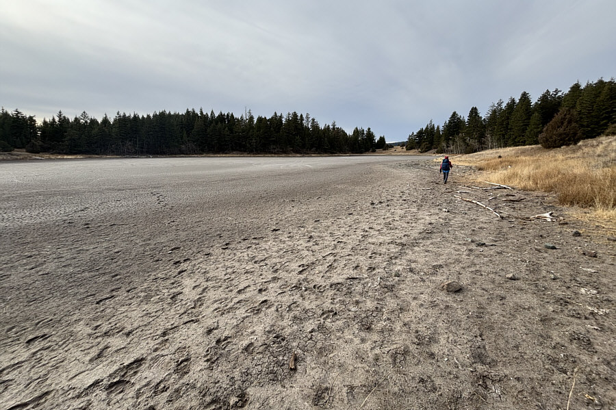 A bit smelly here...