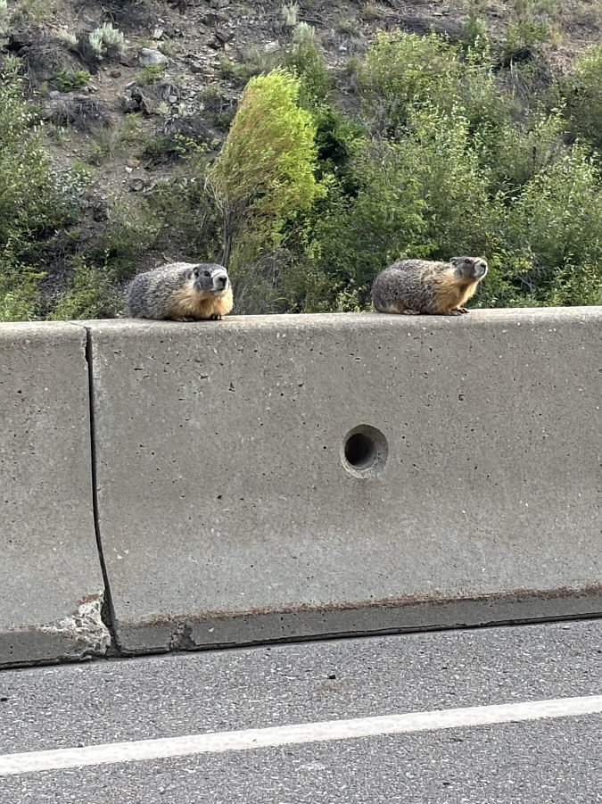 I'm just sittin' here watchin' the wheels go round and round...