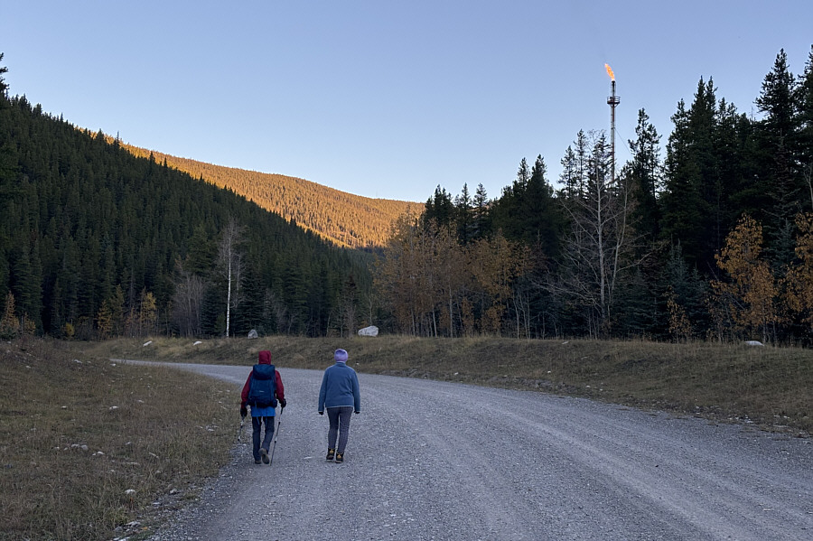 Wish I was on a bicycle!