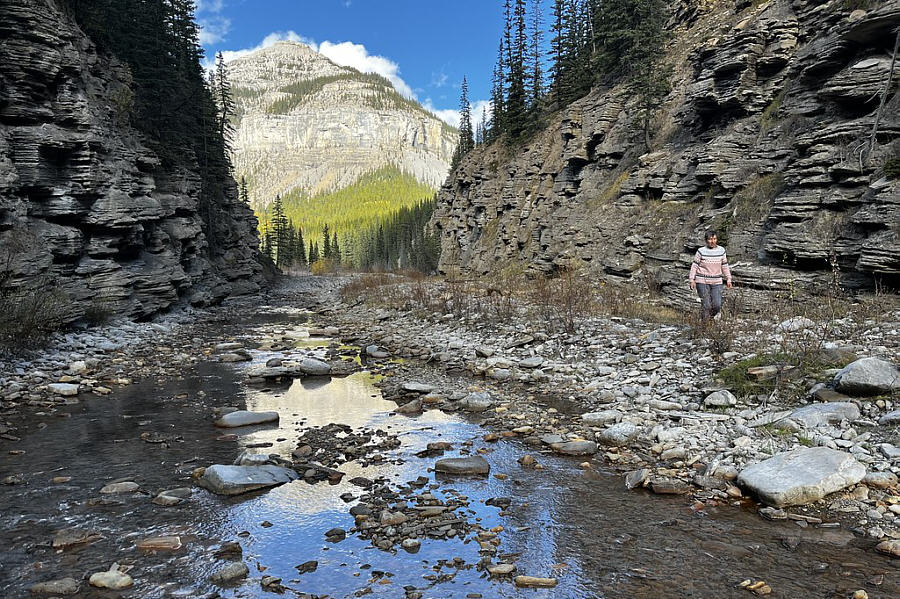 Another hidden gem of Canyon Creek!