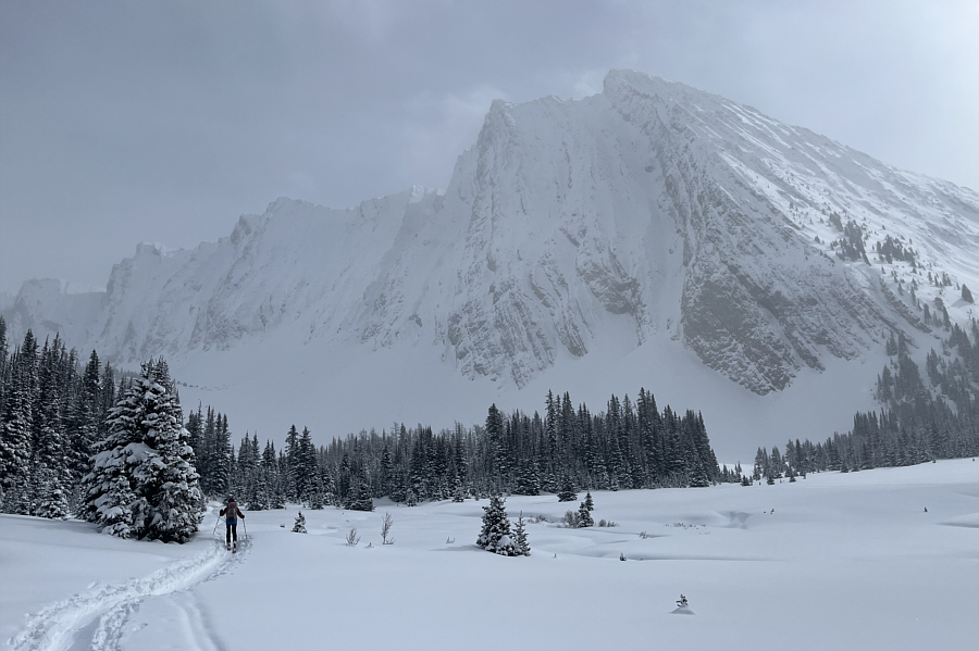 Hard to believe I scrambled up that in a previous life...