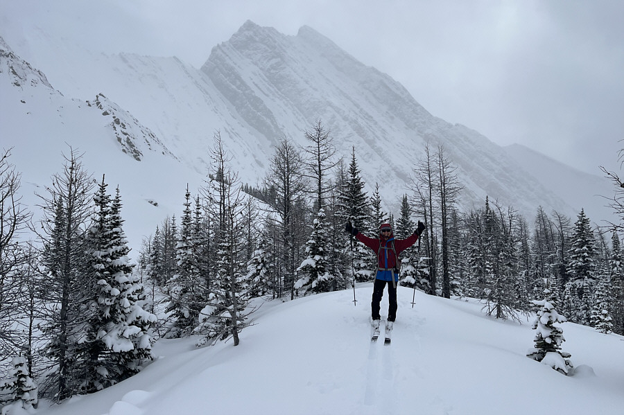 Good enough for when avi hazard is high!