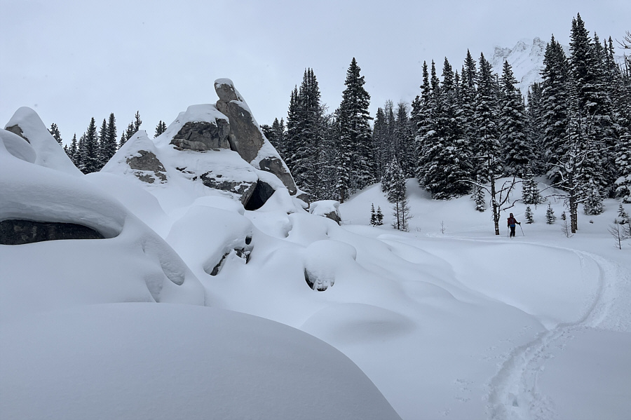 That was a nice short cut!