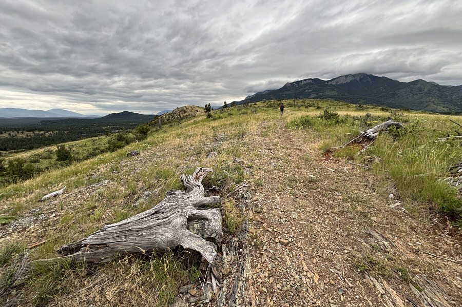 Two for the price of one!