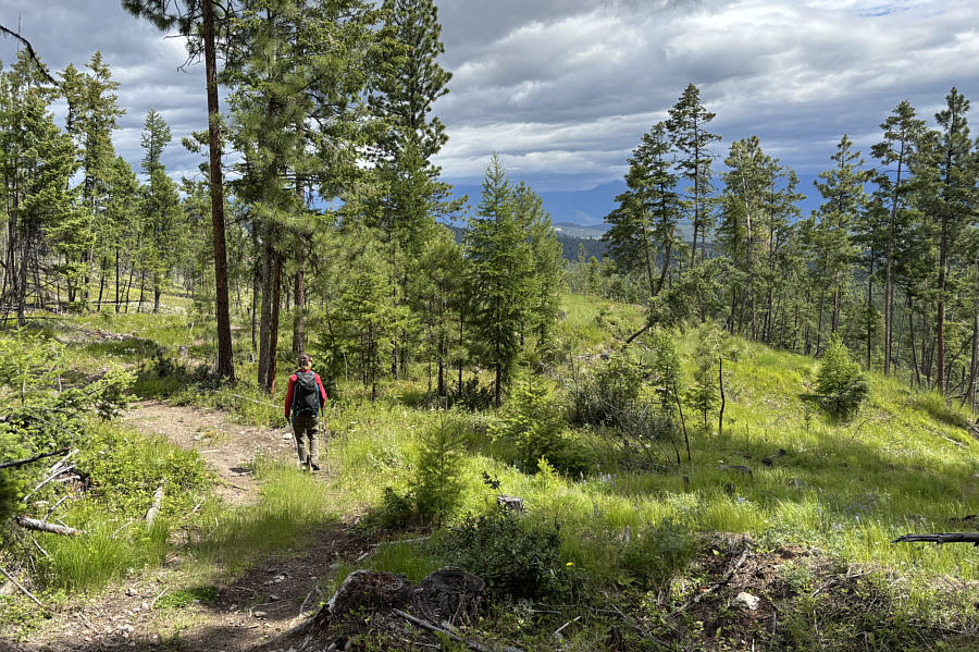 Potentially good ski slopes here!