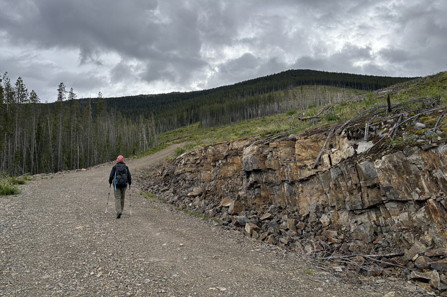 I could've easily driven this in my CR-V, but we're here to hike, right?