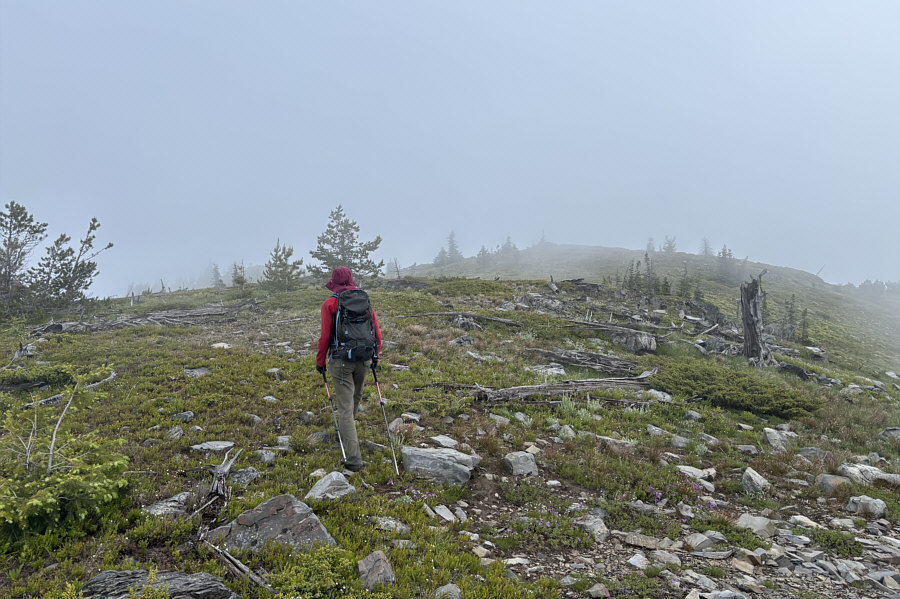Of course it's foggy when we're on the open part of the ridge!