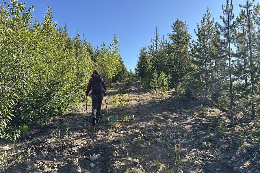 Not worth driving to save 600 metres of walking and 70 metres of elevation gain.