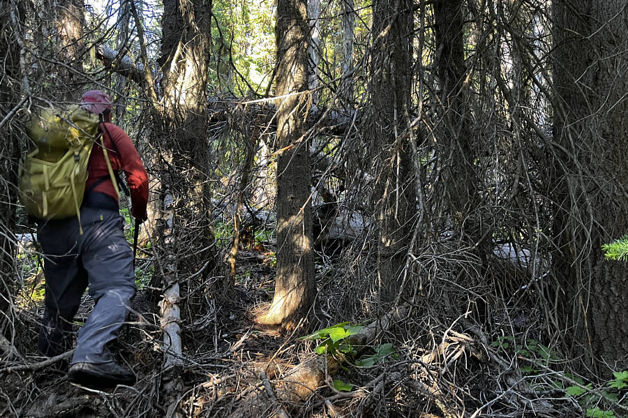 Why can't we take a normal vacation like everyone else?