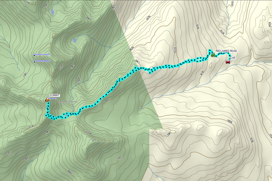 Should save this one for the fall after frost has killed all the bugs!