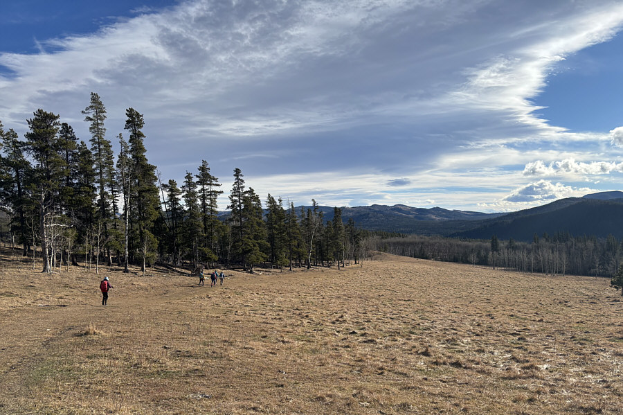 Nice way to end the loop instead of climbing uphill from Sheep River.