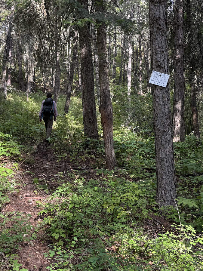 Beware of cougars here?