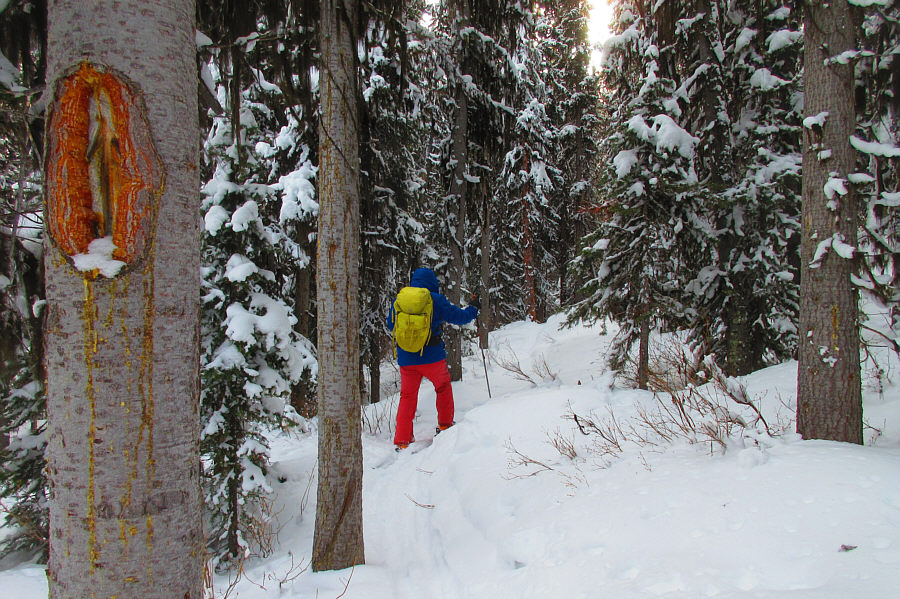 Whew! Good thing we're not going around in circles!