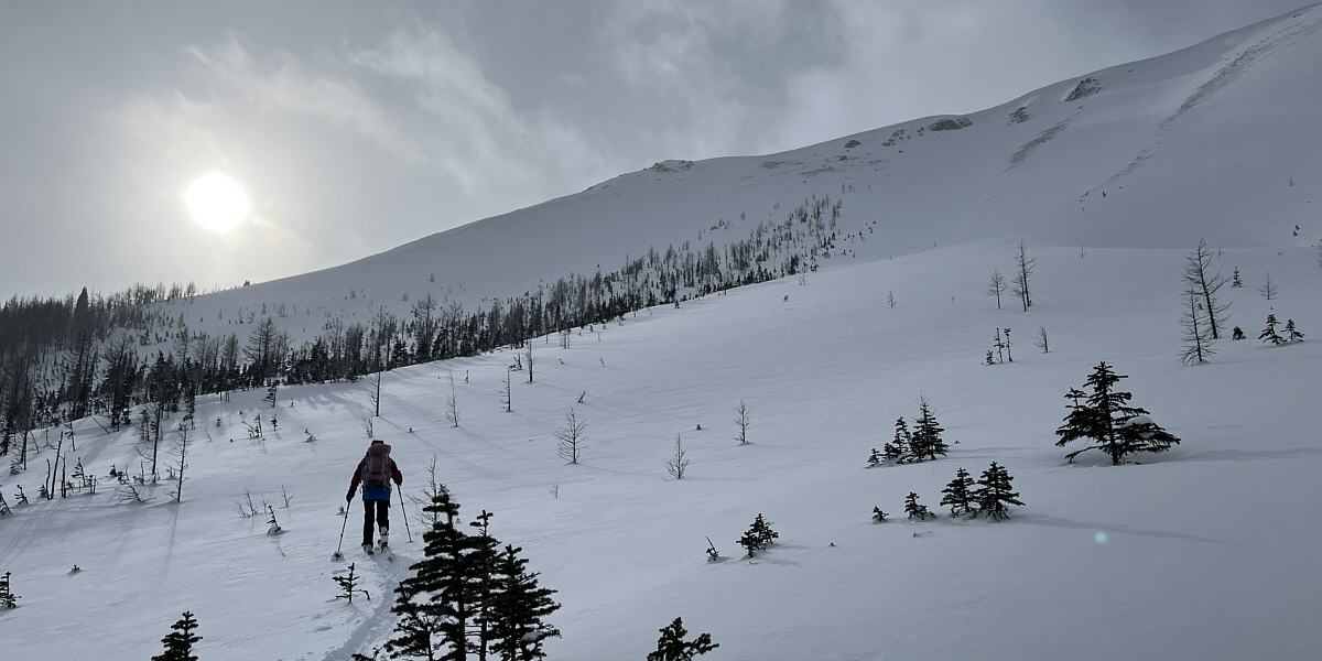 It's astounding that no one else was here!