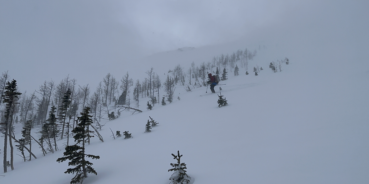 This would've been heavenly with full sunshine!