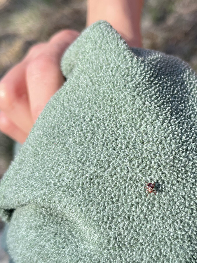 It's that time of year...