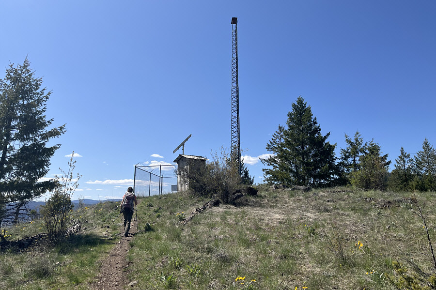 Might even be able to get some free US TV channels here!