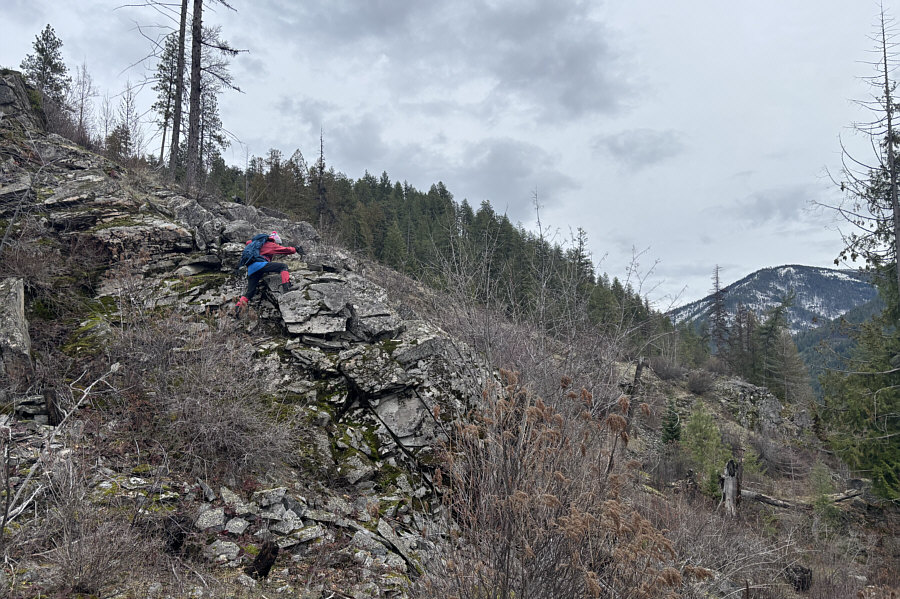 Wish there were more sections like this!