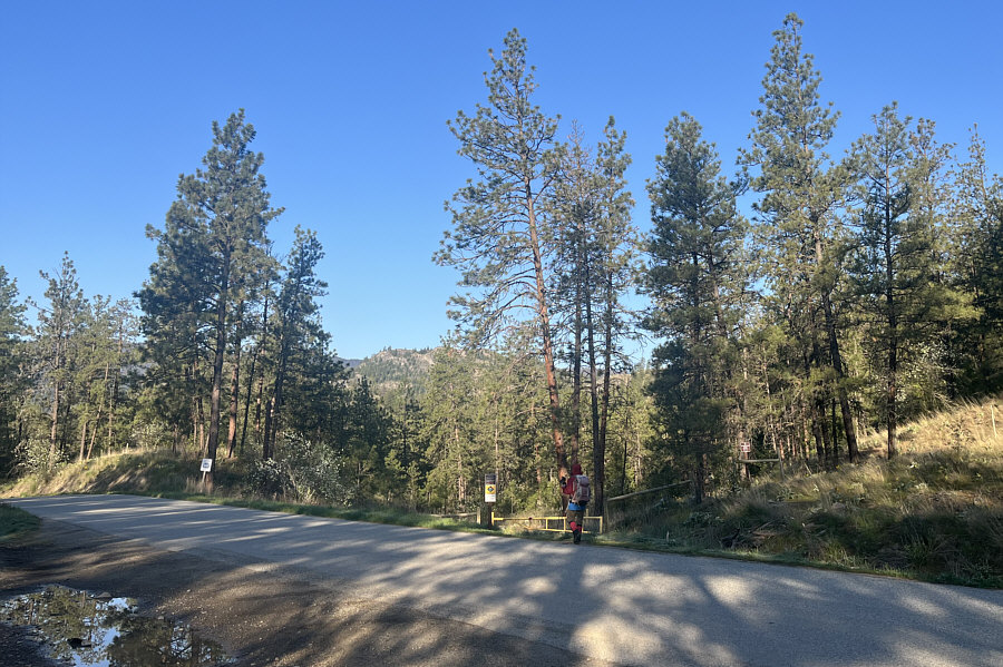 This road is actually busier than you might think--look both ways before crossing!