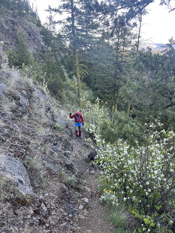 Still mostly easy hiking though!