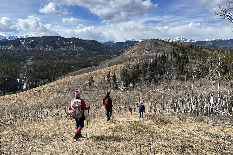 How do you like Zosia's cool toque?