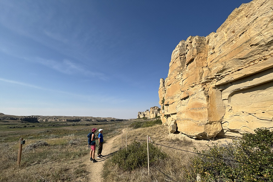 Smile for the camera!