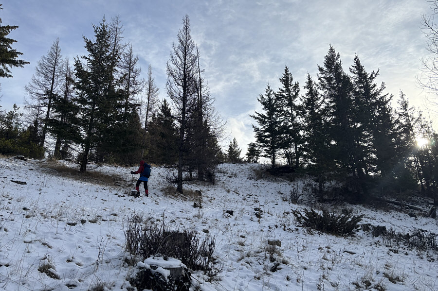 Easy with no bushwhacking!