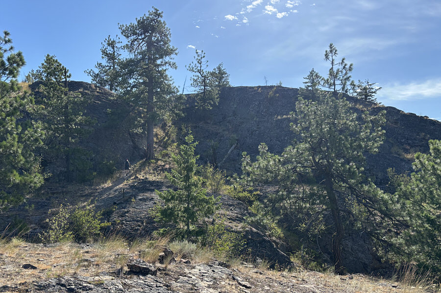 Scrambling is optional.