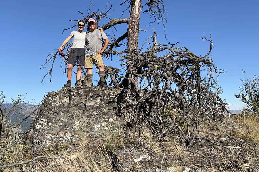 Somebody should knock this gnarly tree down...