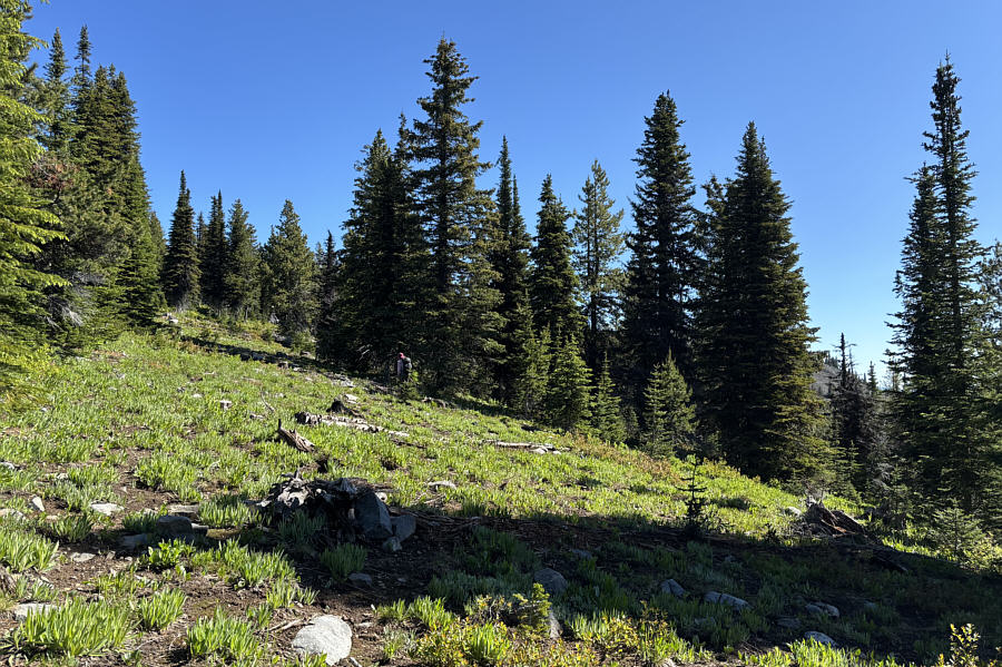 Probably nicer to ski this route in winter...