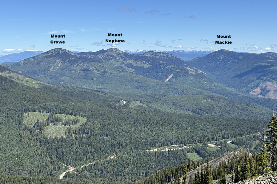 Zosia injured her leg skiing on Mount Crowe 3.5 years ago.