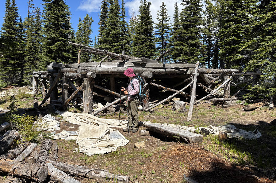 Shameful to see all the garbage and crap here.