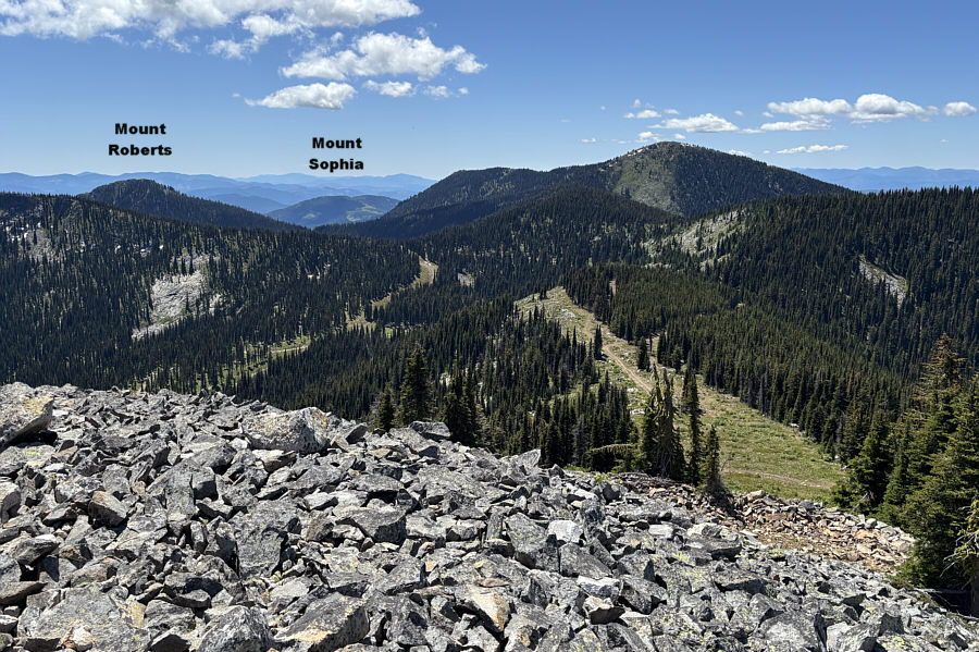 We have great memories of eating huckleberries and wild strawberries on Mount Sophia!