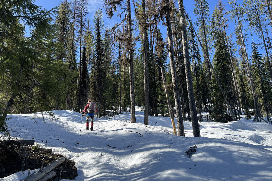 Key word being "hiking" and NOT "post-holing"!
