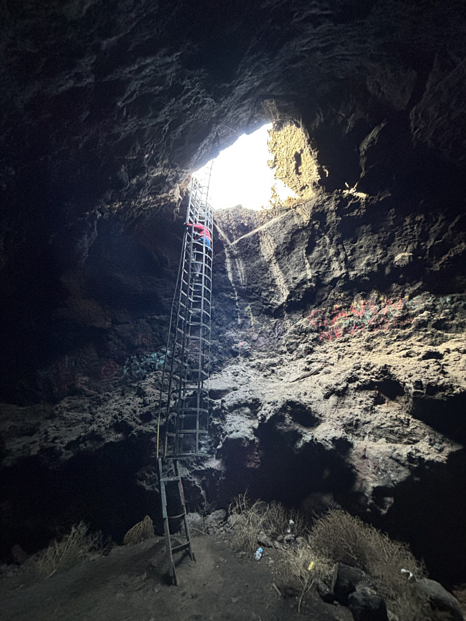 The ladder seemed sturdy enough, but it is not maintained. Use at your own risk!