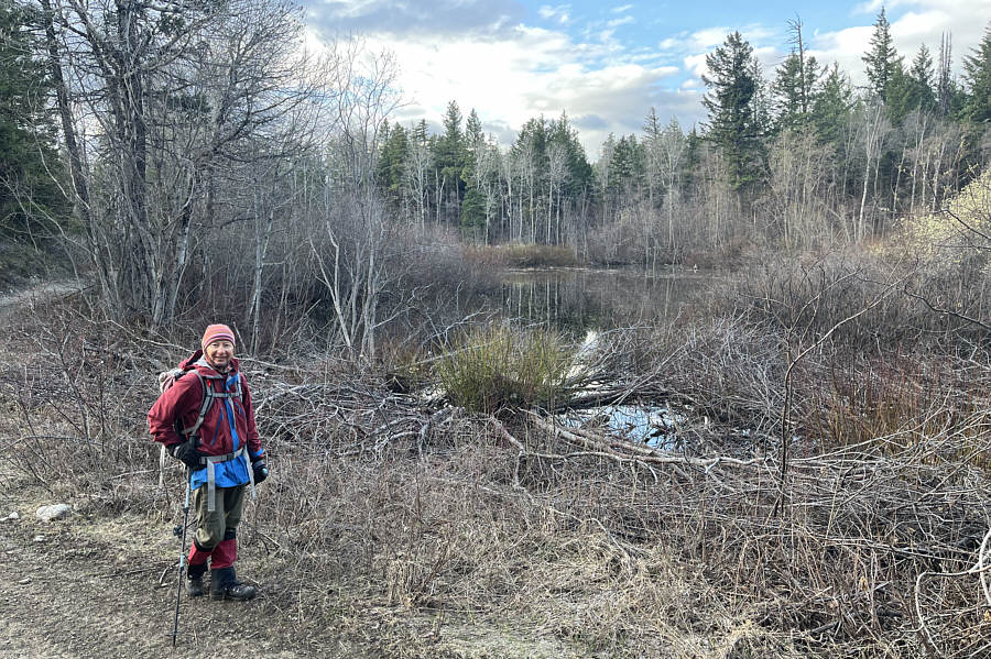 Kind of an ugly pond!