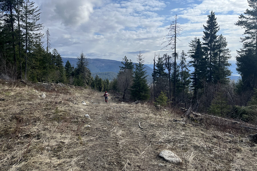 Good short cut--no bushwhacking!