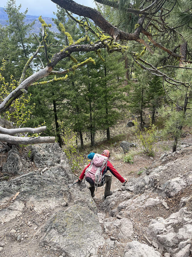 Not just a boring hike!