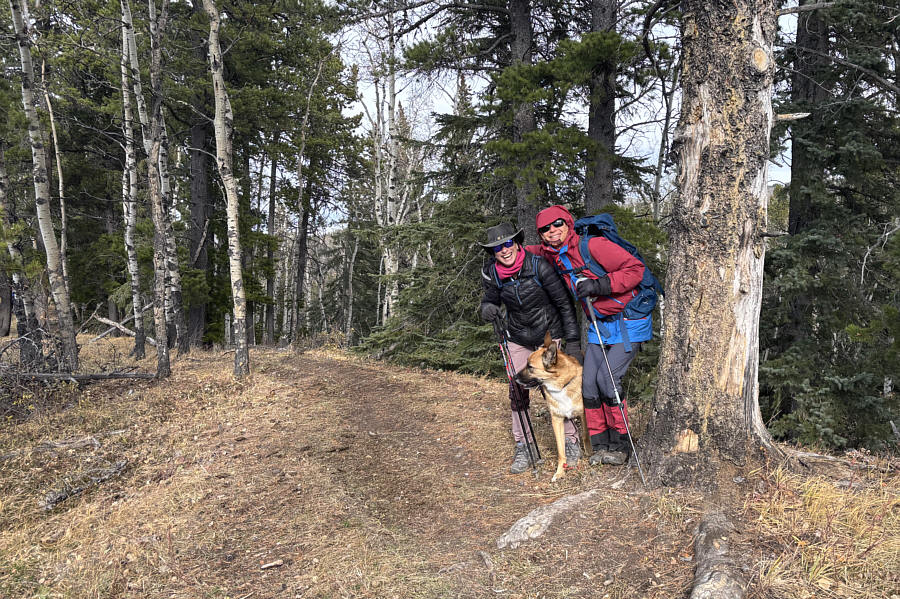 Where did everyone else go?