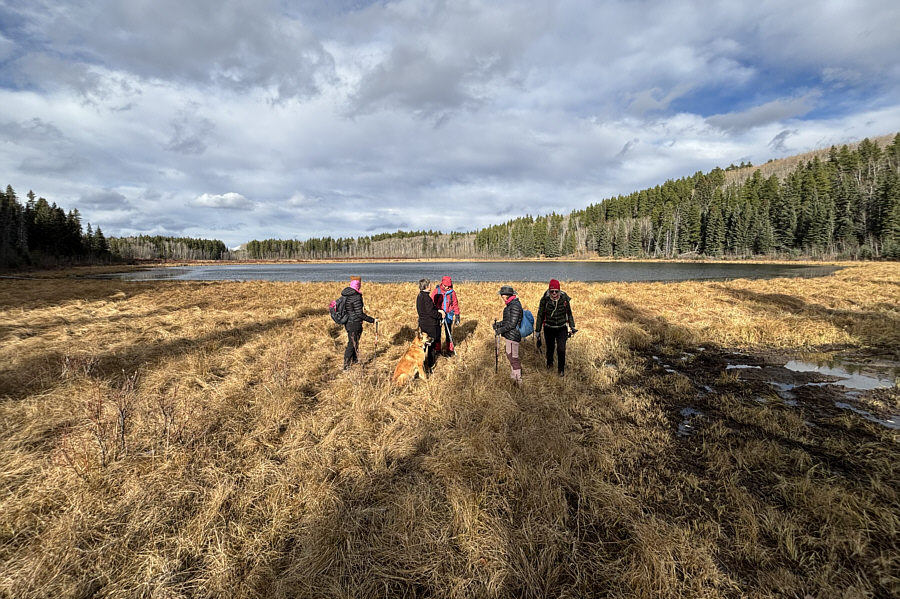 The swampy grass makes it hard to get close to the lake's edge.