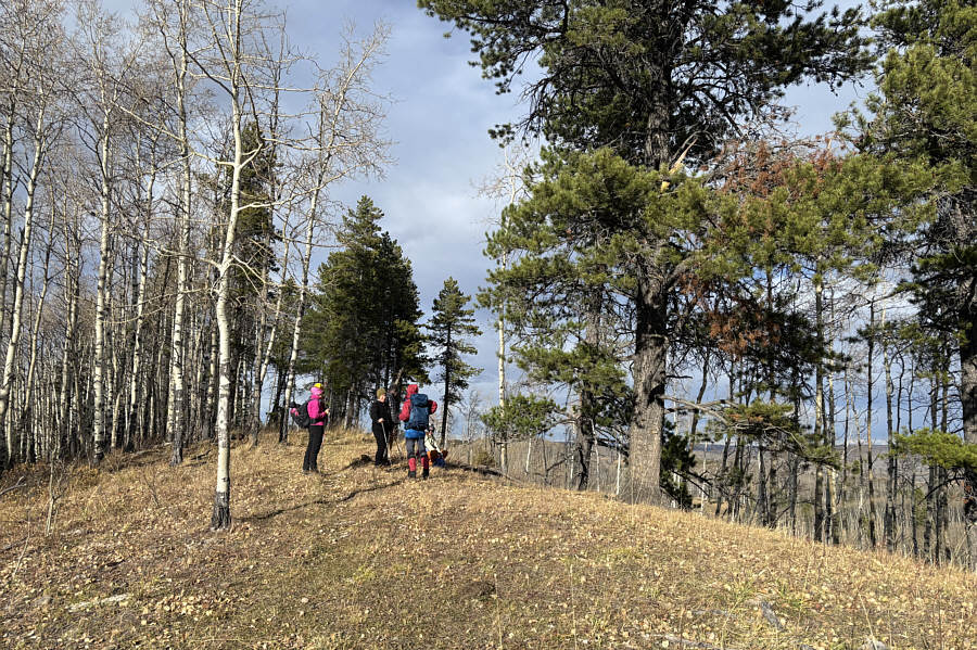 Okay, that's probably enough hills for the day!