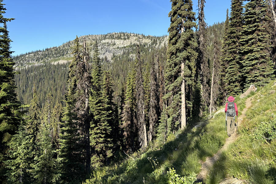 Very pleasant hiking here.