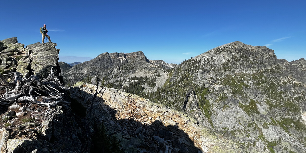 Can you see Little Monk too?