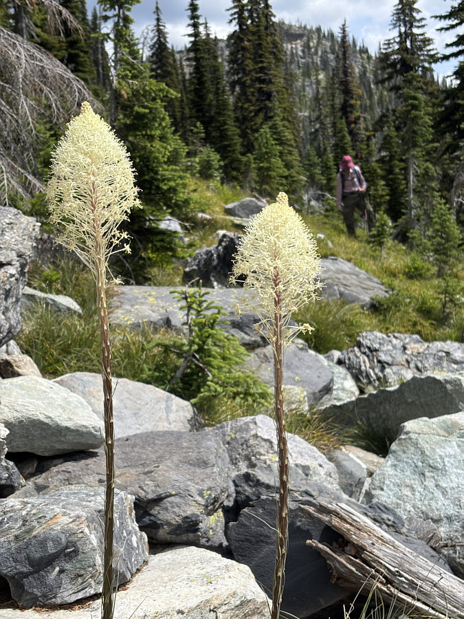 Always a cheerful sight!